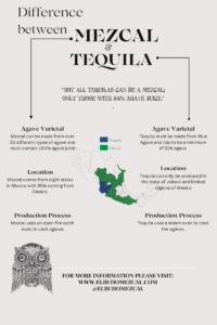 Mezcal vs. Tequila | El Buho Mezcal